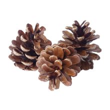 Fenyőtoboz natúr barna több méretben