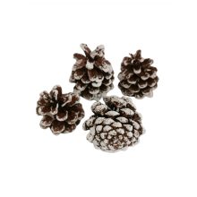 Fenyőtoboz - fehér, antikolt