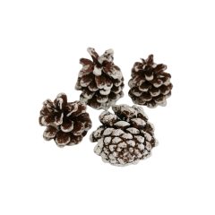 Fenyőtoboz - fehér, antikolt