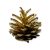Fenyőtoboz arany csillámos 2-4 cm 