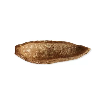 Dekor szárított termés