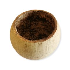 Keményhéjú termés