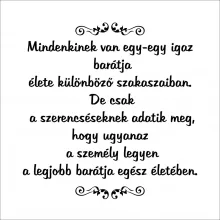 Póló - Mindenkinek van egy-egy igaz  barátja...