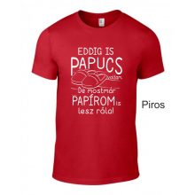 Eddig is papucs voltam...legénybúcsú', vicces legénybúcsú póló a vőlegénynek