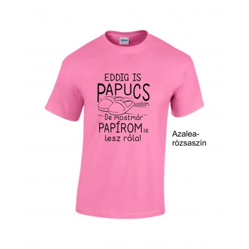 Eddig is papucs voltam...legénybúcsú', vicces legénybúcsú póló a vőlegénynek