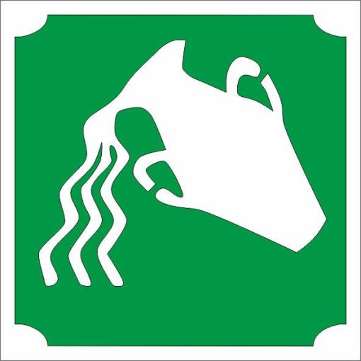 Csillámtetoválás sablon - Csillagjegyek Vízöntő 486