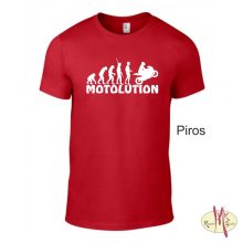 Kereknyakú Póló - Motoros evolúció