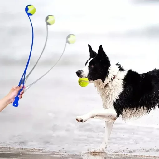 NUXIE labda eldobó kutyajáték, 48 cm-es műanyag kilövő kar, labdával