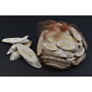 Fenyőfa korong fehér - ovális, 5db/cs 4-8cm