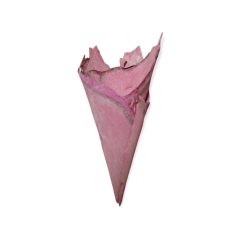 Nyírfa kéreg tölcsér