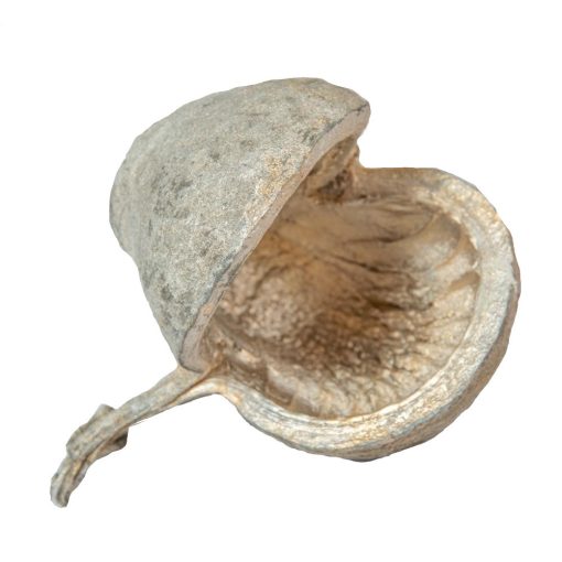 Buddha dió - több színben