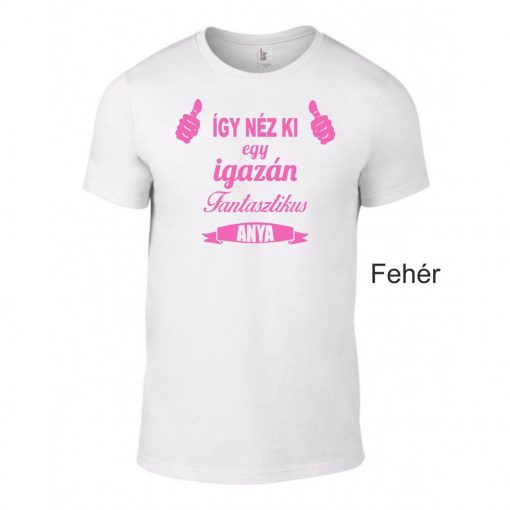 Póló - Így néz ki egy igazán fantasztikus anya