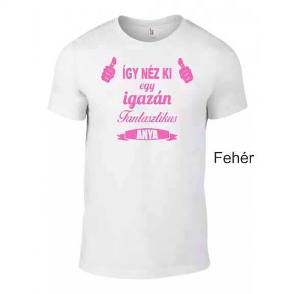 Póló - Így néz ki egy igazán fantasztikus anya