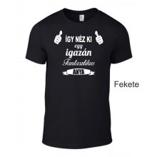 Póló - Így néz ki egy igazán fantasztikus anya