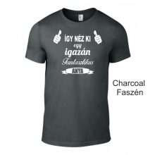 Póló - Így néz ki egy igazán fantasztikus anya