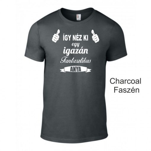 Póló - Így néz ki egy igazán fantasztikus anya