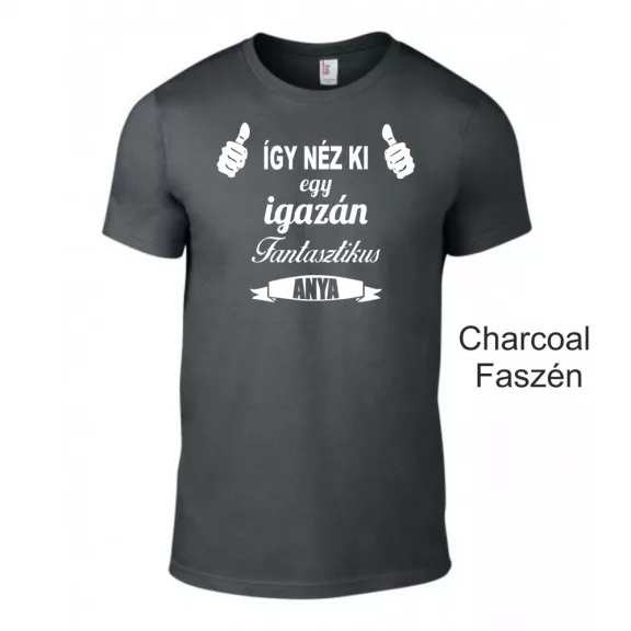 Póló - Így néz ki egy igazán fantasztikus anya