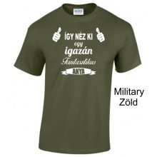 Póló - Így néz ki egy igazán fantasztikus anya