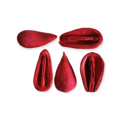 Dekorációs szárított termés több színben 5 db/cs