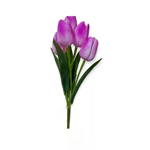 Tulipán csokor 5 virággal 
