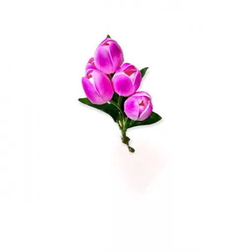 Tulipán csokor 5 virággal 