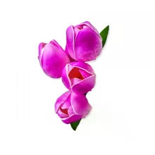 Tulipán csokor 5 virággal 