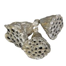 Szárított Lótusz pezsgő