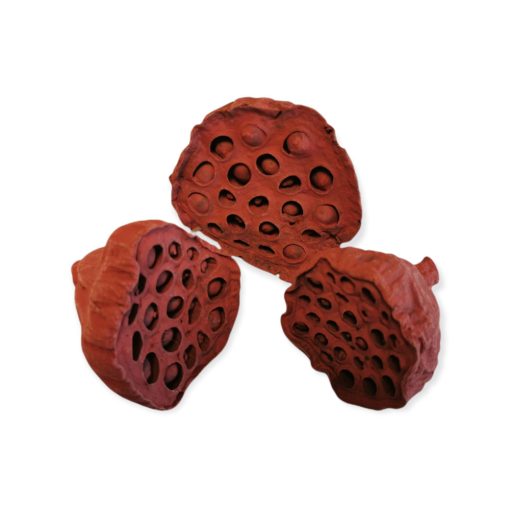 Szárított Lótusz bordó