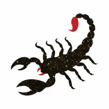 5x5 cm-es Csillámtetoválás sablon - Skorpió 48