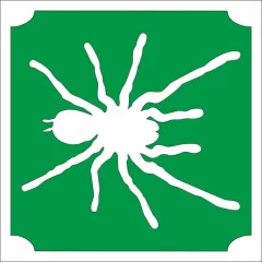 5x5 cm-es Csillámtetoválás sablon - Madárpók 139