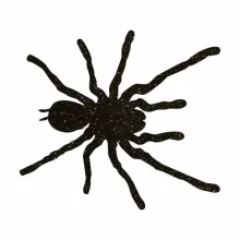5x5 cm-es Csillámtetoválás sablon - Madárpók 139