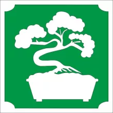 5x5 cm-es Csillámtetoválás sablon - Bonsai fa 182