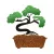 5x5 cm-es Csillámtetoválás sablon - Bonsai fa 182