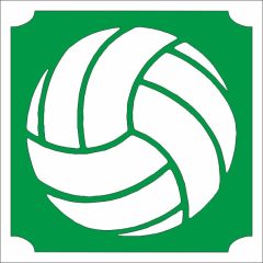 5x5 cm-es Csillámtetoválás sablon - Kosár labda 191