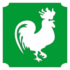 5x5 cm-es Csillámtetoválás sablon - Angry Birds 227