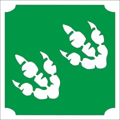 5x5 cm-es Csillámtetoválás sablon - Ajándék doboz 297