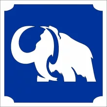 KiviArt mamut mintájú háromrétegű öntapadós sablon csillámtetováláshoz