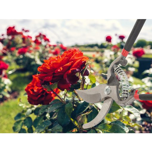 20,5 cm-es kovácsolt acél kerti metszőolló ergonomikus nyéllel és biztonsági zárral