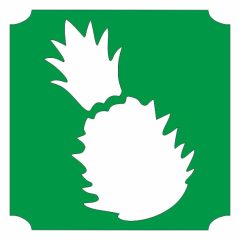 5x5 cm-es Csillámtetoválás sablon - ananász 418