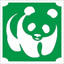 5x5 cm-es Csillámtetoválás sablon - Panda 450