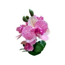 Cserepes mű Orchidea 27 cm
