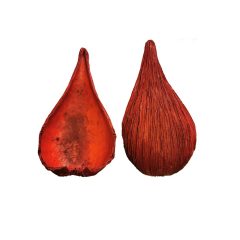 Páncélos vaddohány, szárított - több színben