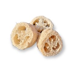 Dekorációs száraz termés - kerék forma