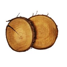 Fa szelet kerek és ovális forma 12-15 cm