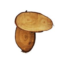 Fa szelet kerek és ovális forma 12-15 cm