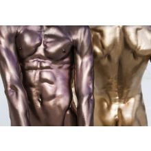 Mehron Metallic Powder - Gold 28gr