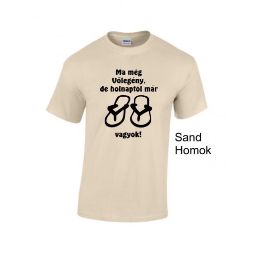Póló - Ma még vőlegény, de holnap már papucs vagyok!