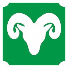 Csillámtetoválás sablon - Bak 476