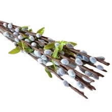 Mű Barka ág levéllel 80 cm