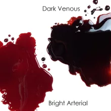 Mehron Stage Blood – Dark Venous (Sötét Vénás Mű Vér) 470 ml